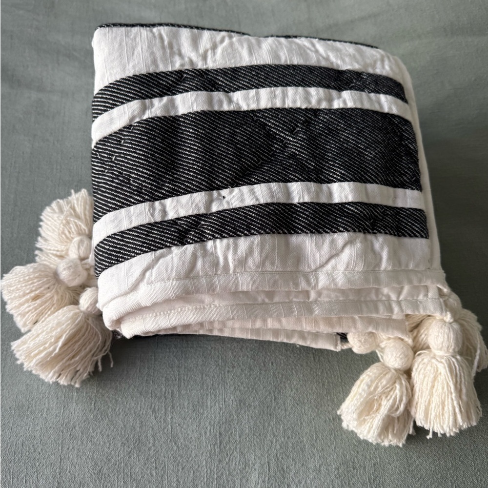 POTTERY BARN MESA TASSEL BLACK STRIPED SHAMS SET OF 2 KING - Picture 8 of 13